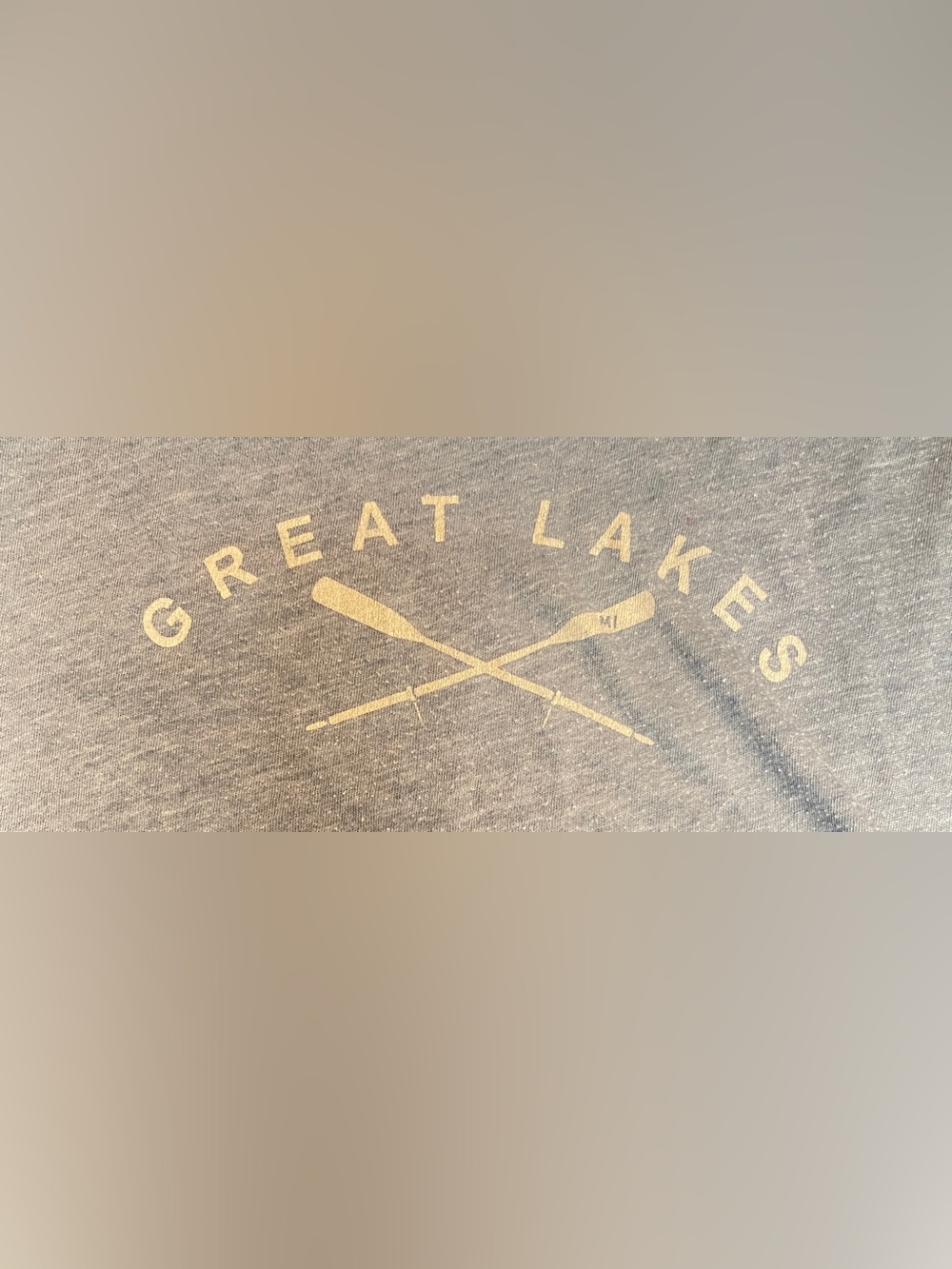 Great Lakes Michigan Tank Top Blue Mens Size Medium Momentum Outfitters Cotton